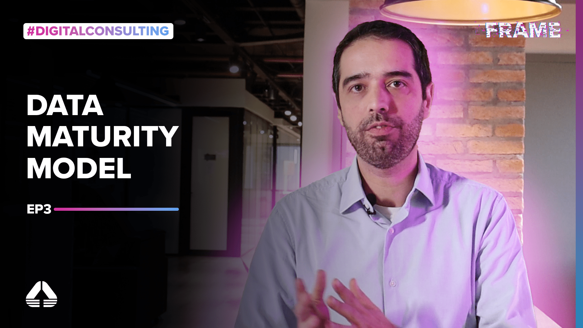 Frame | Consulting #03 – Data Maturity Model