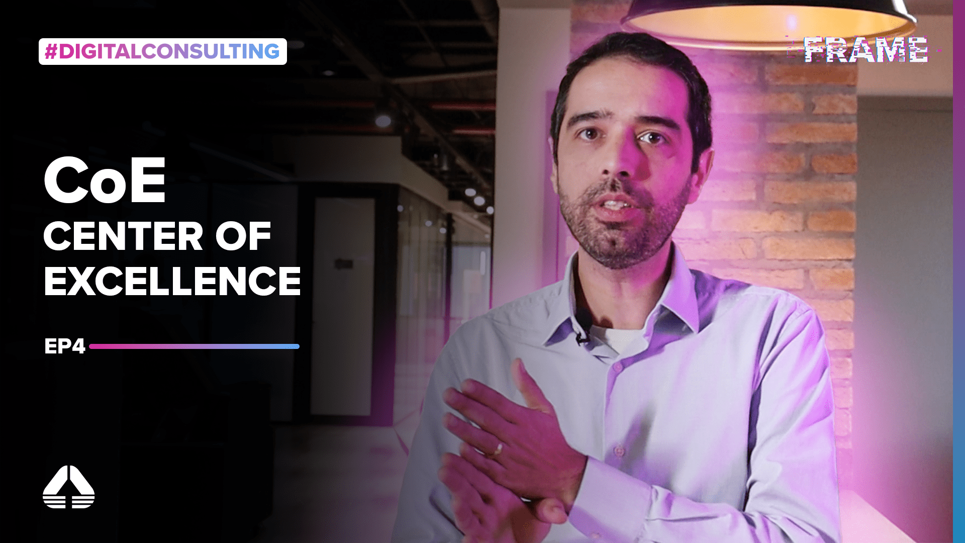 Frame | Consulting #04 – CoE: Center of Excellence