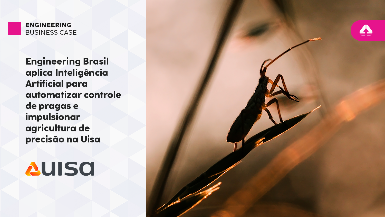 Destaque_BusinessCase_Uisa_ControlePragas